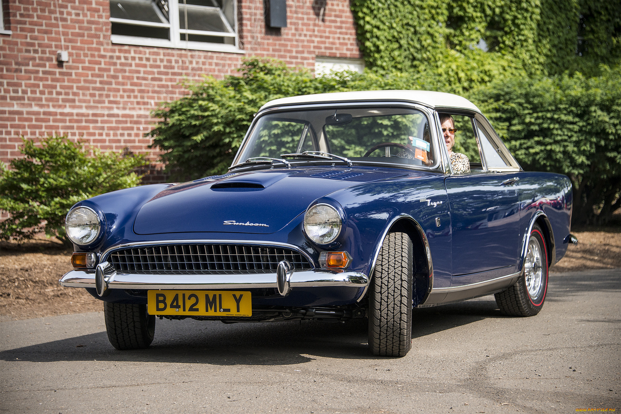 sunbeam tiger, , sunbeam, , , 